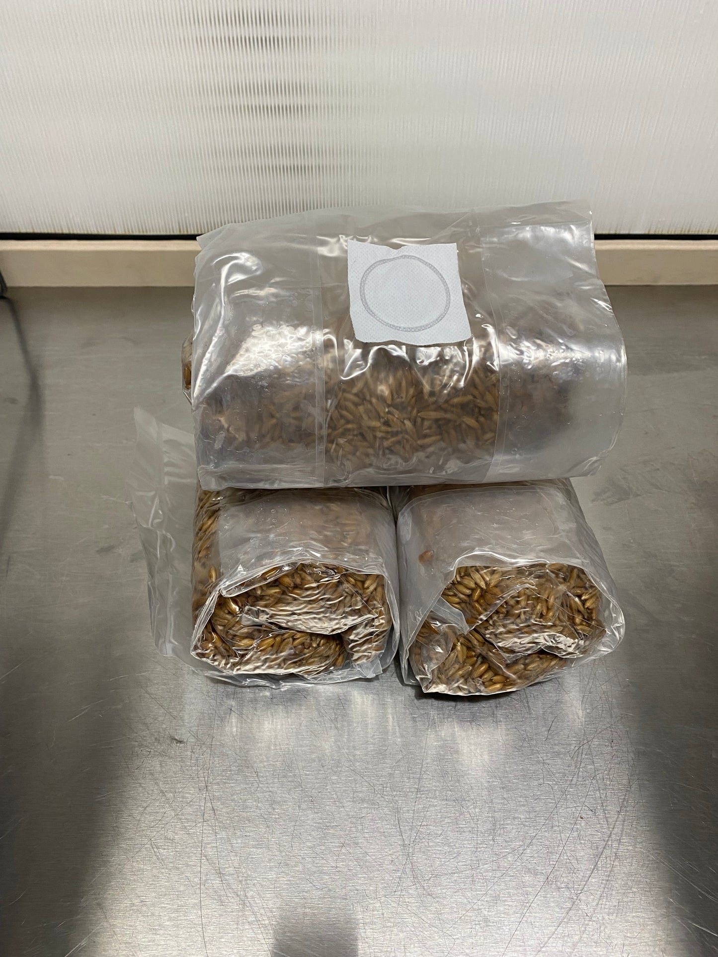 Sterilized Grain Bags with Filter Patch and Injection Port (Whole Oats)