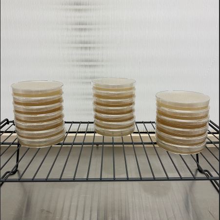 Pre-poured Agar Plates | 90mm LME Agar Plates