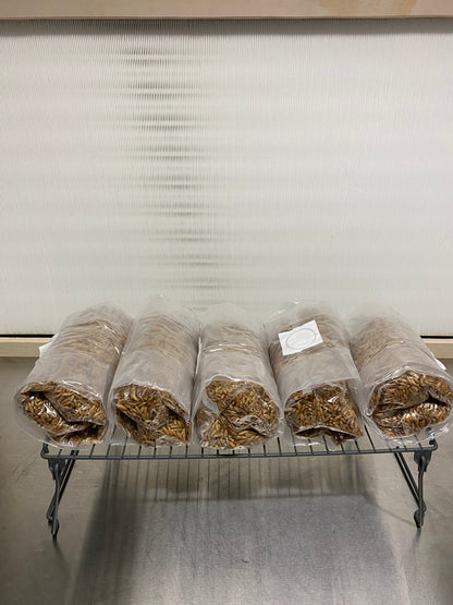 Sterilized Grain Bags with Filter Patch and Injection Port (Whole Oats)