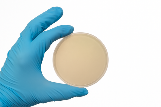 Pre-poured Agar Plates | 90mm LME Agar Plates