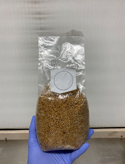 Sterilized Grain Bags with Filter Patch and Injection Port (White Millet)