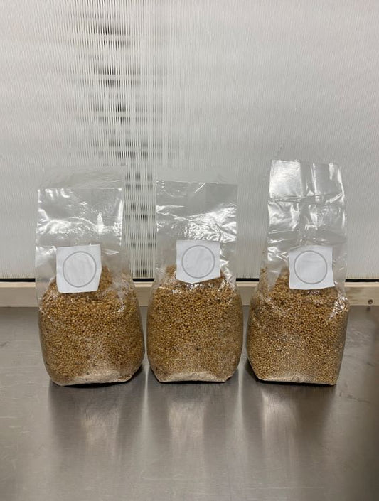 Sterilized Grain Bags with Filter Patch and Injection Port (White Millet)