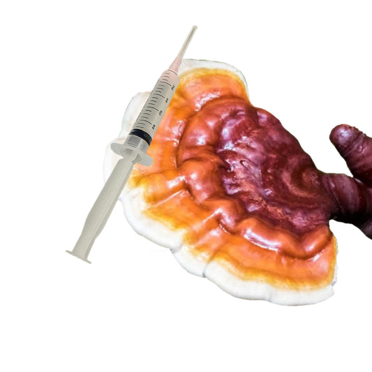 Reishi Mushroom Liquid Culture